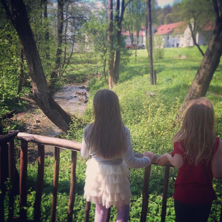 Zamek W Dziegielowie Kültér fotó